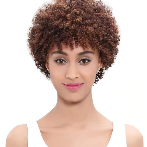 Kinky Curly Remy Ombre Brazilian Human Hair Wig