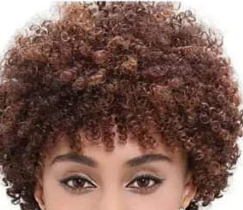 Kinky Curly Wig